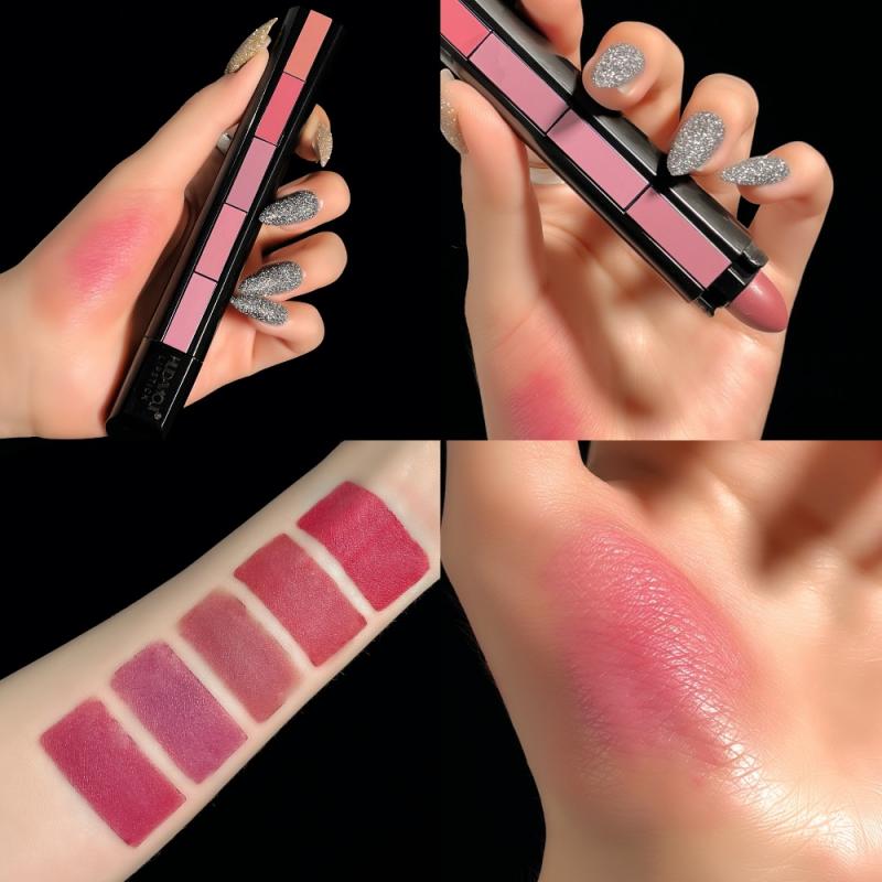 Buy 1 Get 1 Free Offer | 5 in 1 Lipstick Matte lipsticks Waterproof | Long Lasting | Easy to Carry - Stores Craft SEP